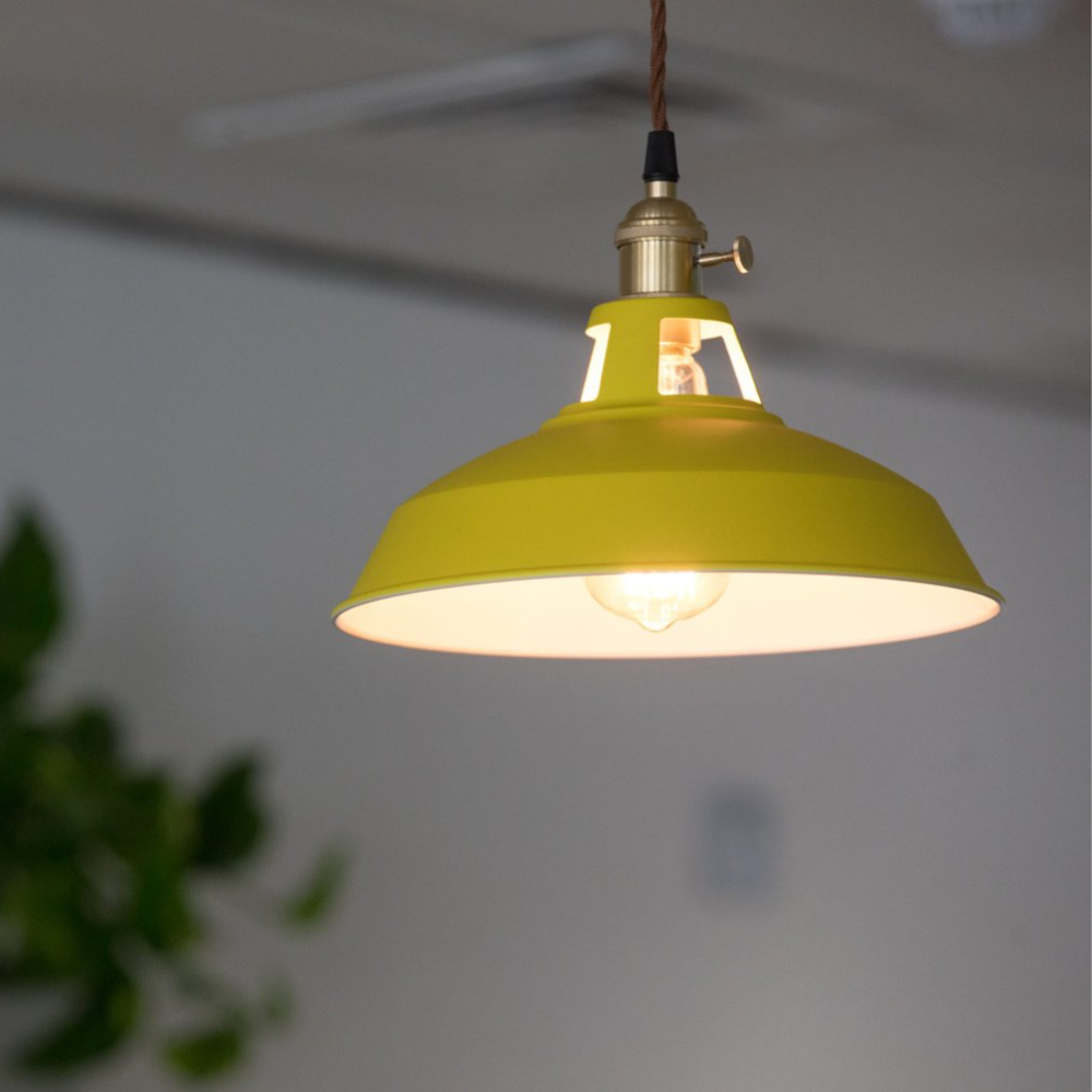 Pendant Light Modern Metal Colourful Design