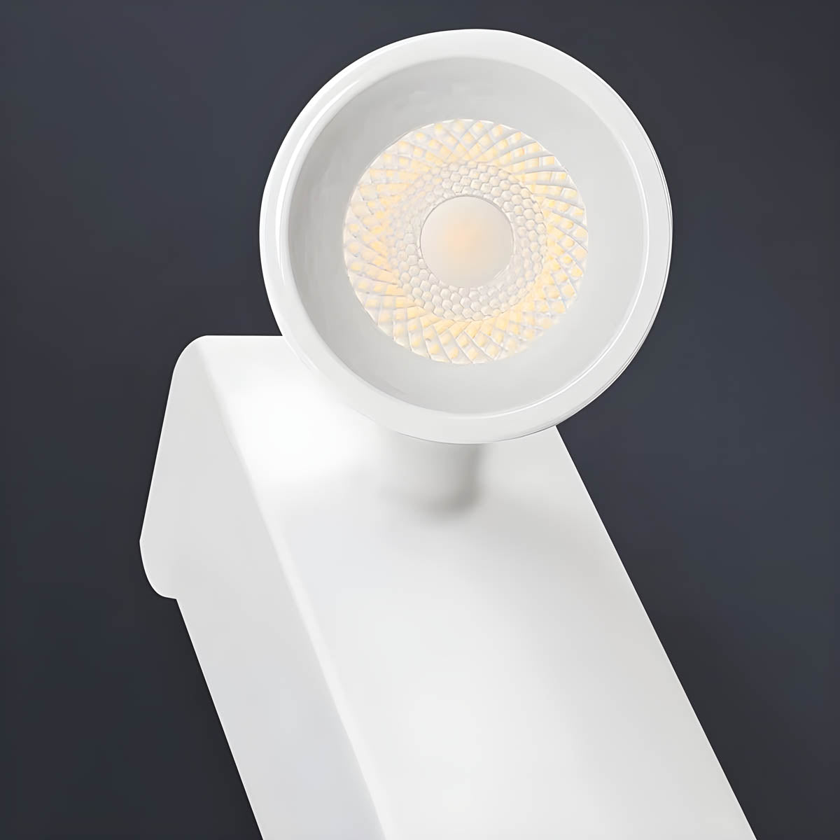 Adjustable Wall Reading Light