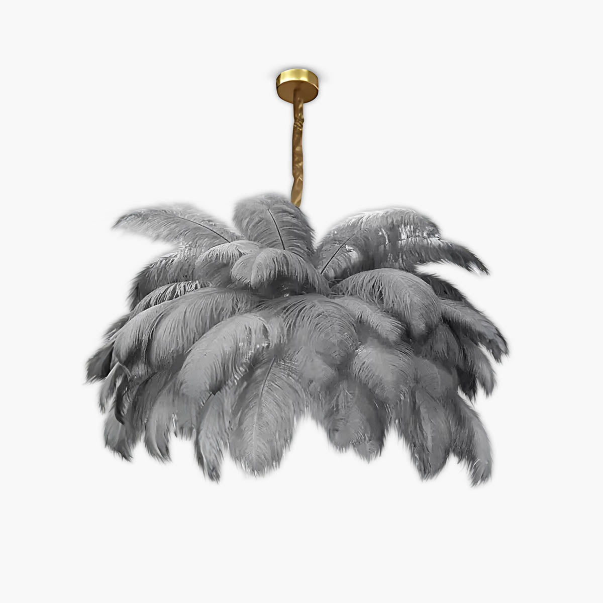 Pendant light with ostrich feathers & iron frame